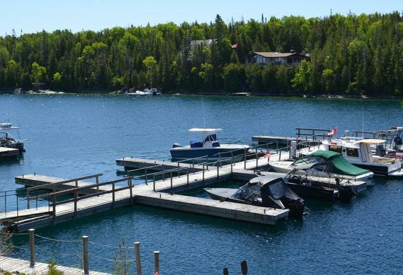 غرفة قياسية سرير ملكى, Big Tub Resort & Marina