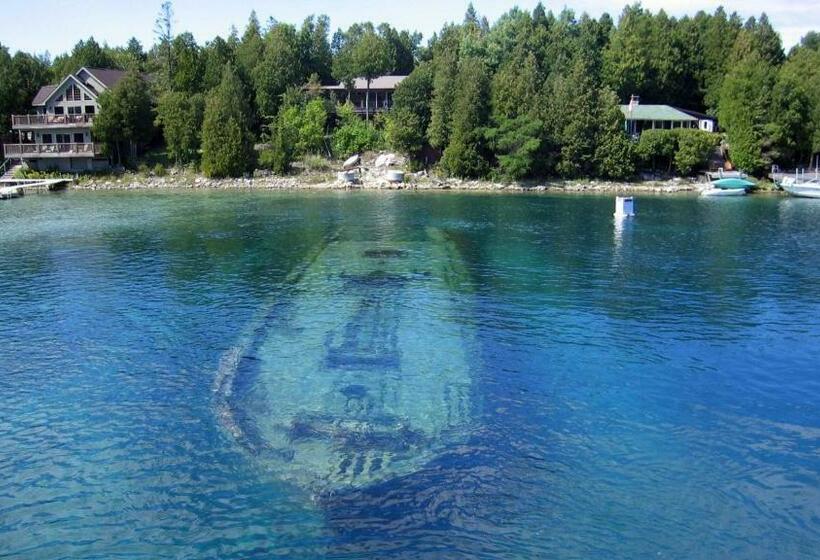 غرفة قياسية سرير كينج, Big Tub Resort & Marina