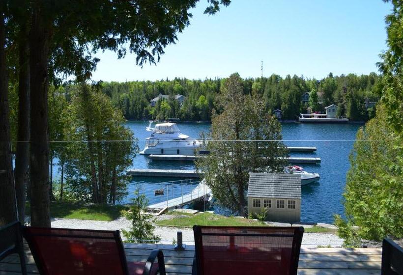 غرفة قياسية سرير كينج, Big Tub Resort & Marina