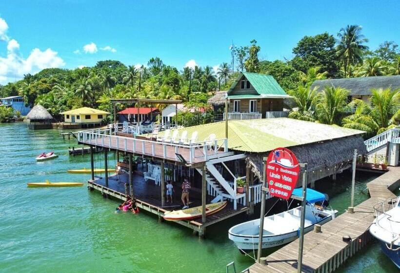 اتاق خانوادگی, Linda Vista