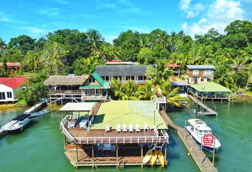 اتاق خانوادگی, Linda Vista