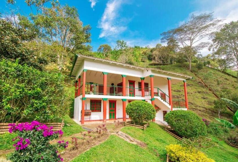 经济房, Primavera Ecoalbergue