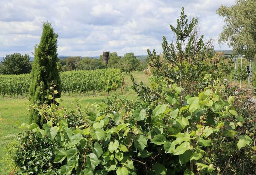 豪华房间, Rheinblick Hattenheim Boutique Art Gästehaus