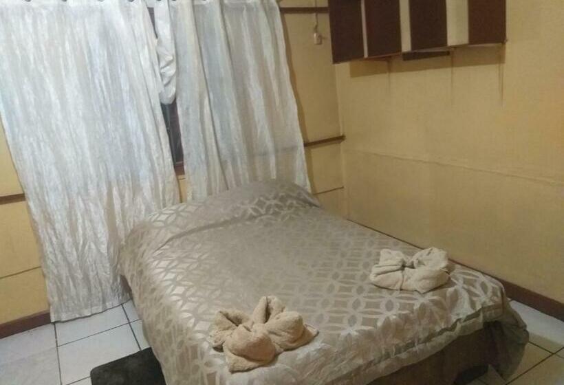 Номер Стандарт, Coto