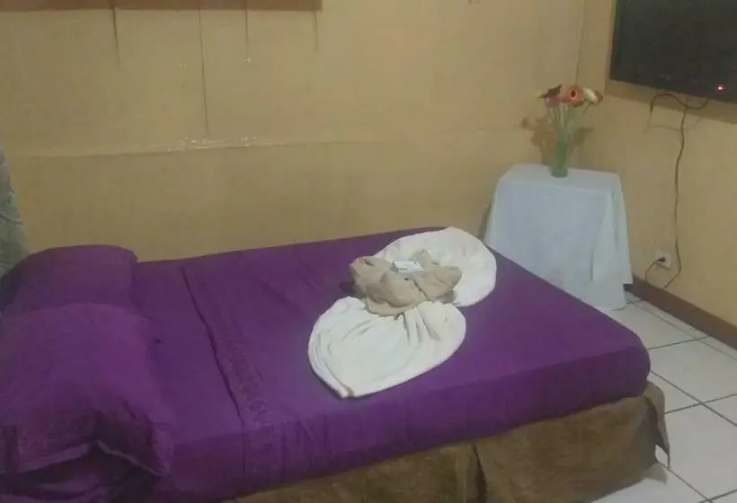 اتاق استاندارد, Coto