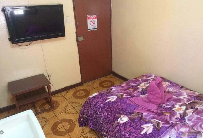 Номер Стандарт, Coto