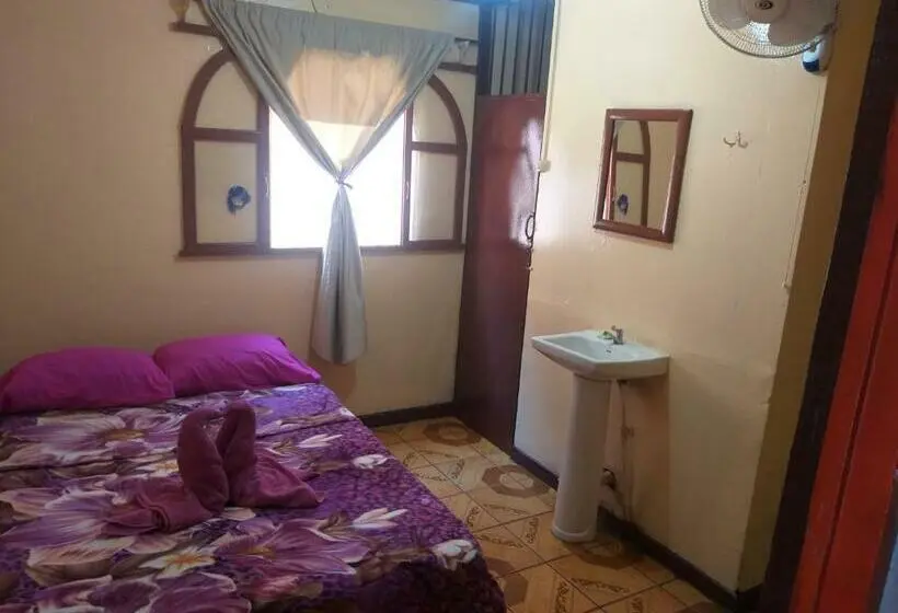 اتاق استاندارد, Coto