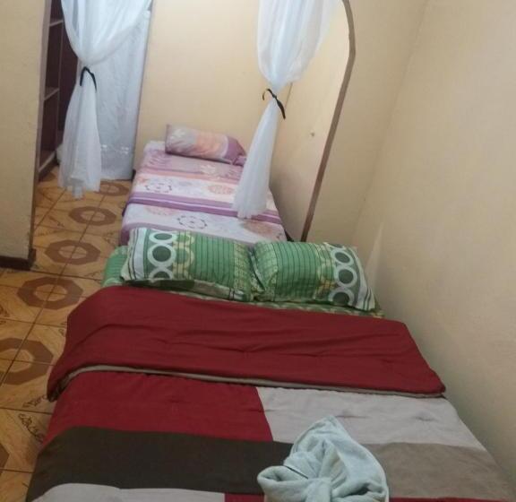 Номер Стандарт, Coto