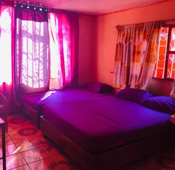 Номер Стандарт, Coto