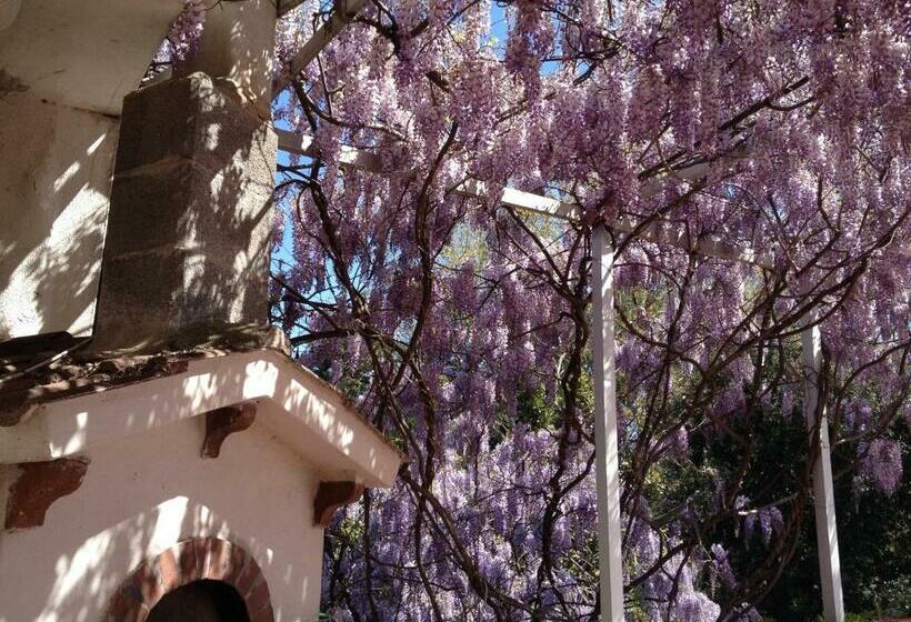 סטודיו משפחתי, B&b Apricot