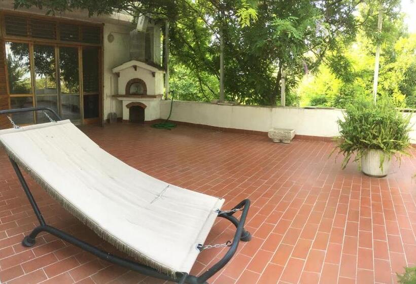 סטודיו משפחתי, B&b Apricot