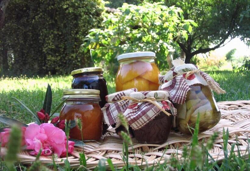 חדר סטנדרט, B&b Apricot