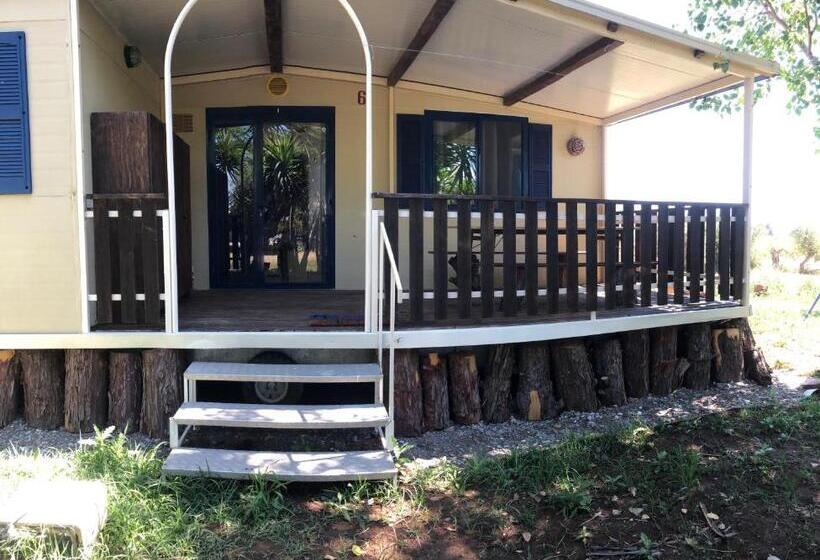 Бунгало Стандарт 2 Спальни, B&b Apricot