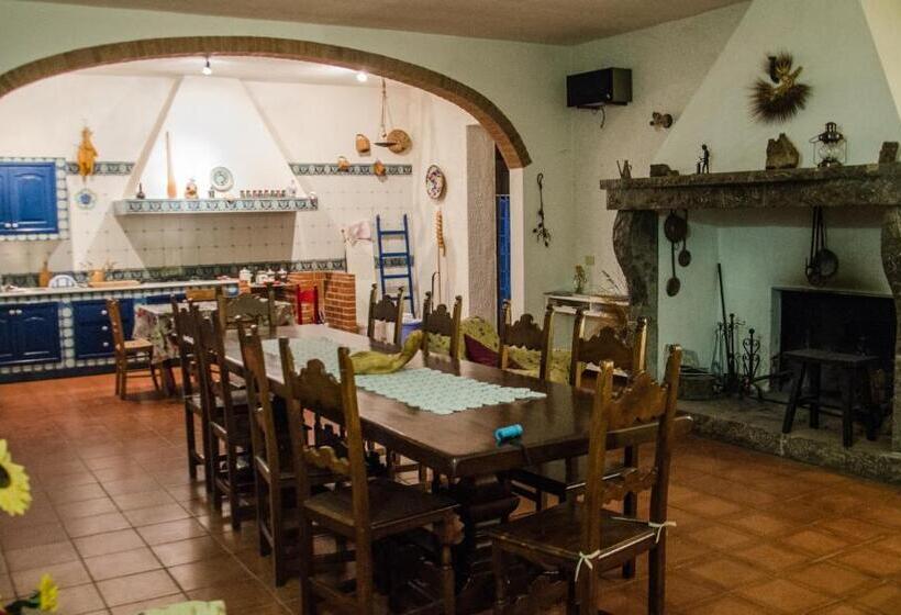 חדר סטנדרט, B&b Apricot