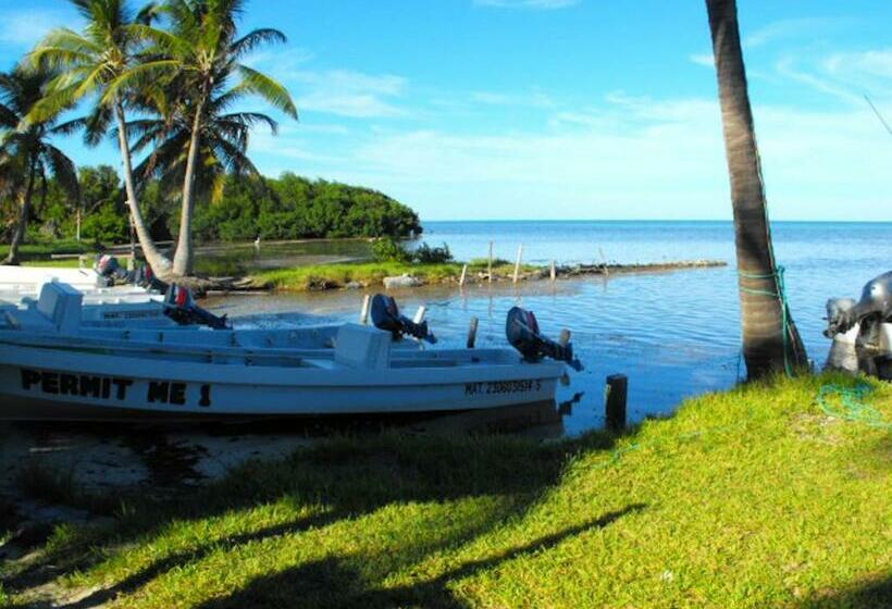 スタンダードバンガロー, Costa De Cocos