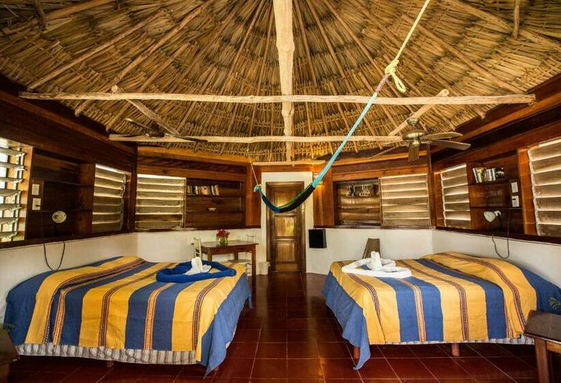 スタンダードバンガロー, Costa De Cocos