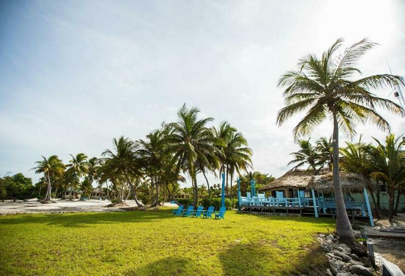 Bangalô Standard, Costa De Cocos