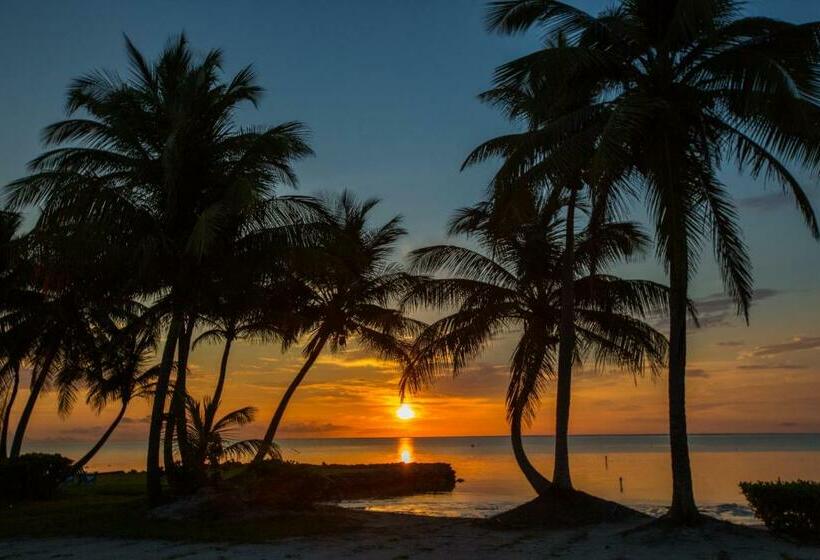 Bangalô Standard, Costa De Cocos