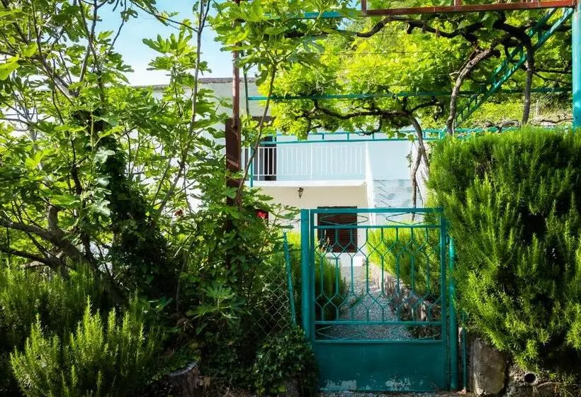 اتاق خانوادگی با چشم‌انداز کوه, Etno House Mira