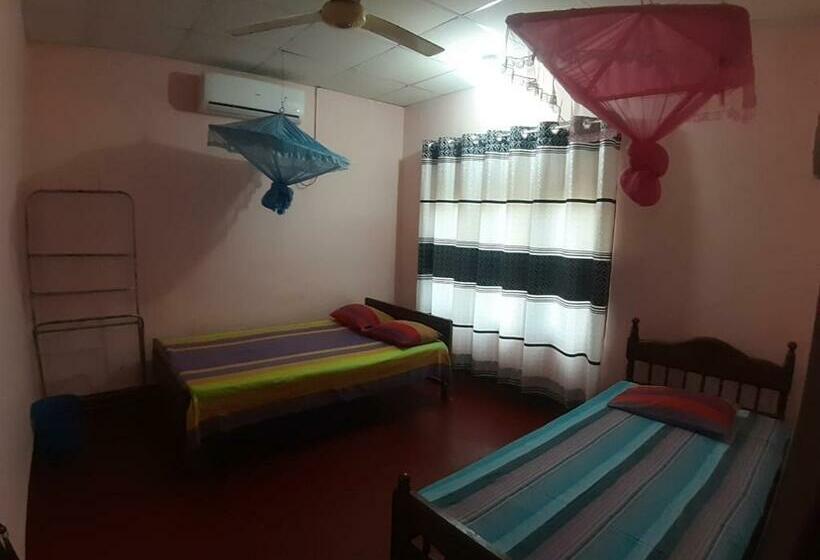 이코노미 트리플 룸, Amila Guest