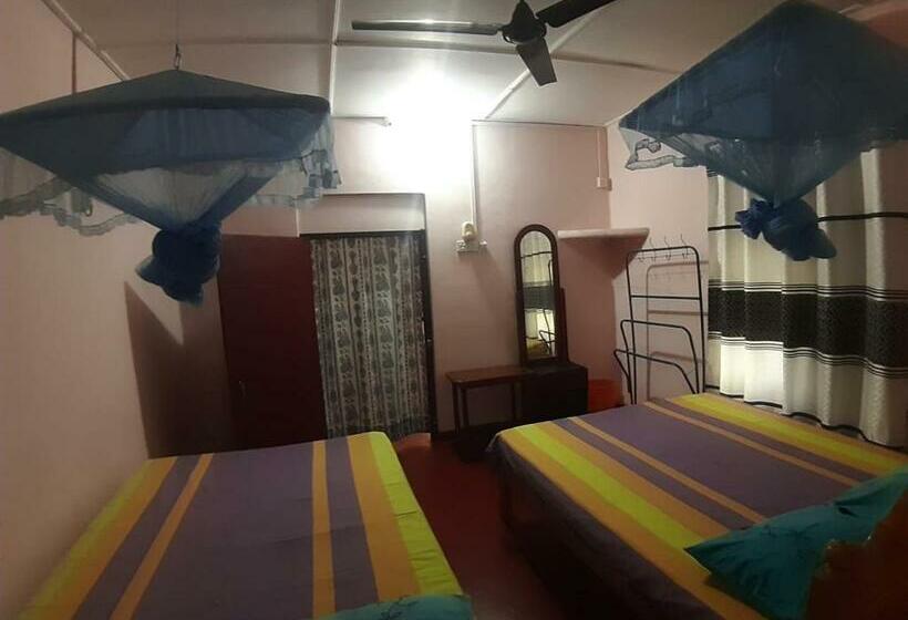 이코노미 트리플 룸, Amila Guest