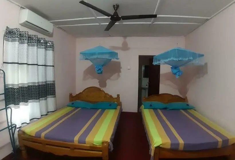 Economy Triple Room, Amila Guest