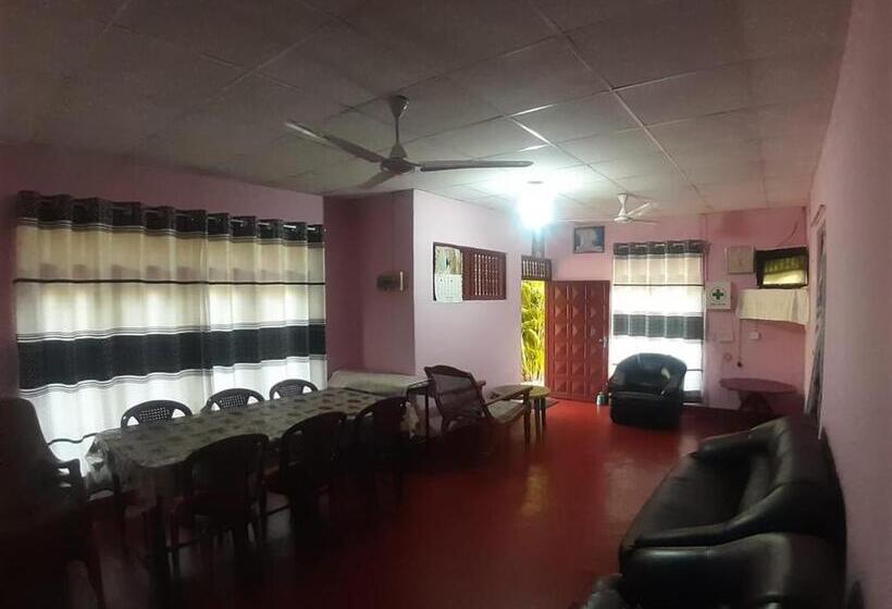 이코노미 트리플 룸, Amila Guest