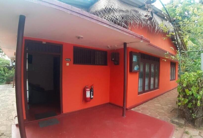 이코노미 트리플 룸, Amila Guest