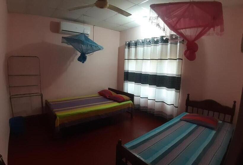 스탠다드 룸, Amila Guest