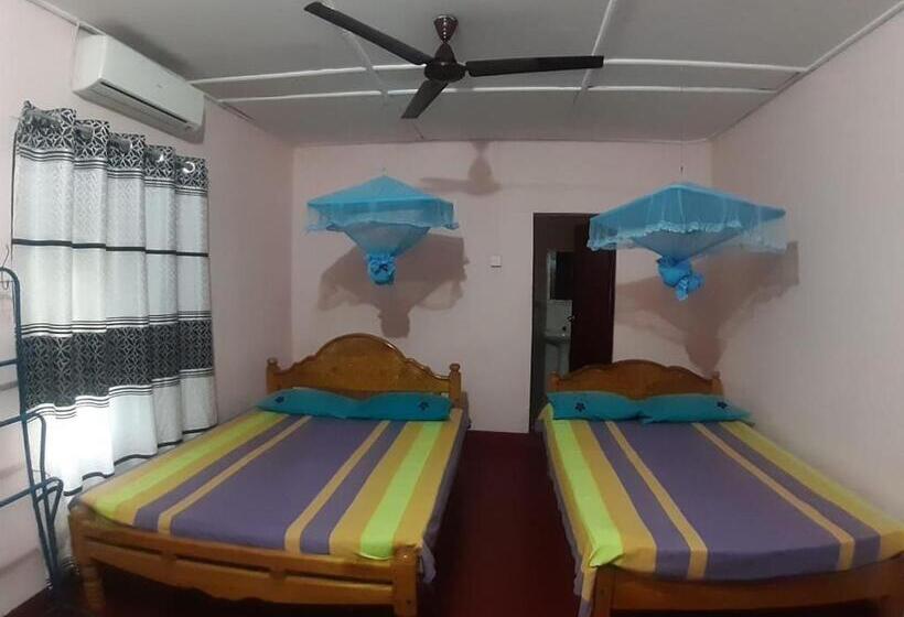 스탠다드 룸, Amila Guest