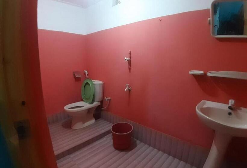 패밀리 룸, Amila Guest