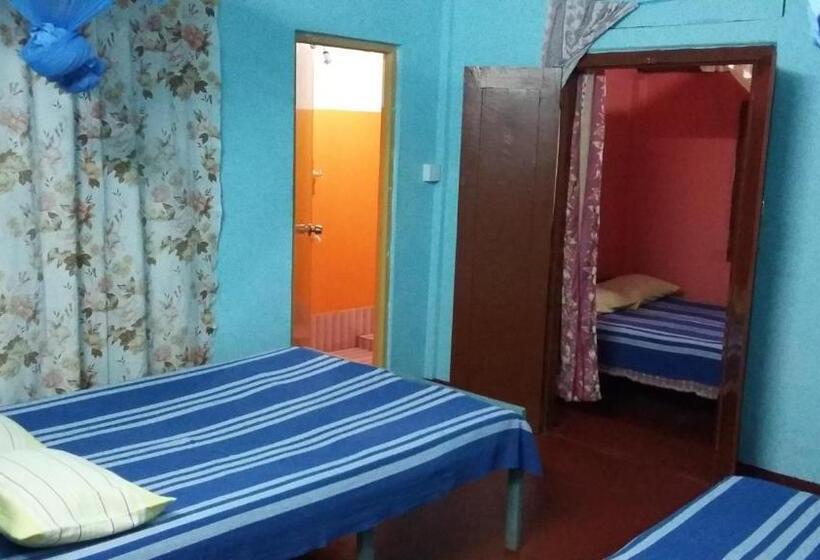 패밀리 룸, Amila Guest