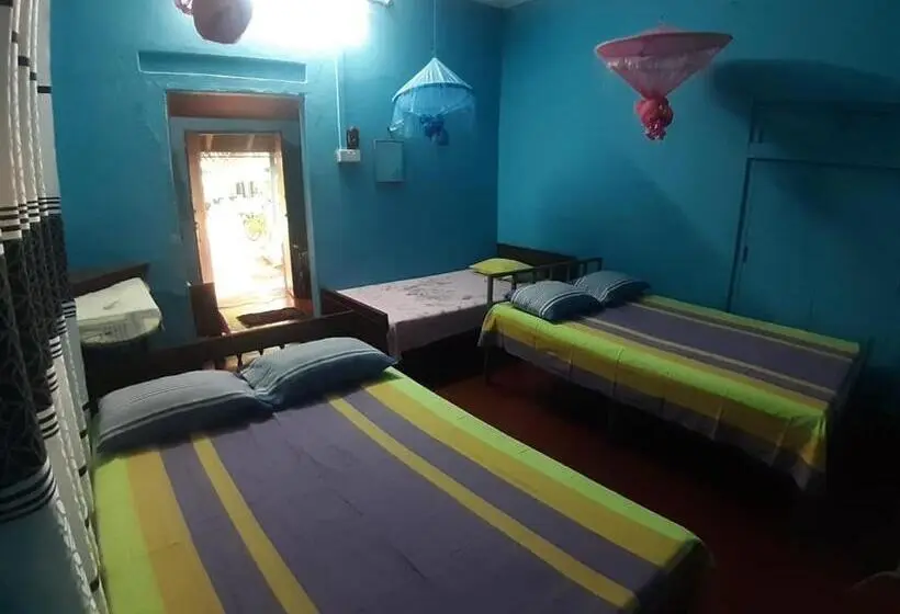اتاق خانوادگی, Amila Guest