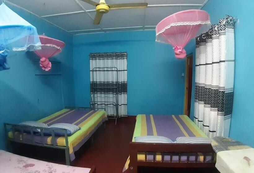 패밀리 룸, Amila Guest