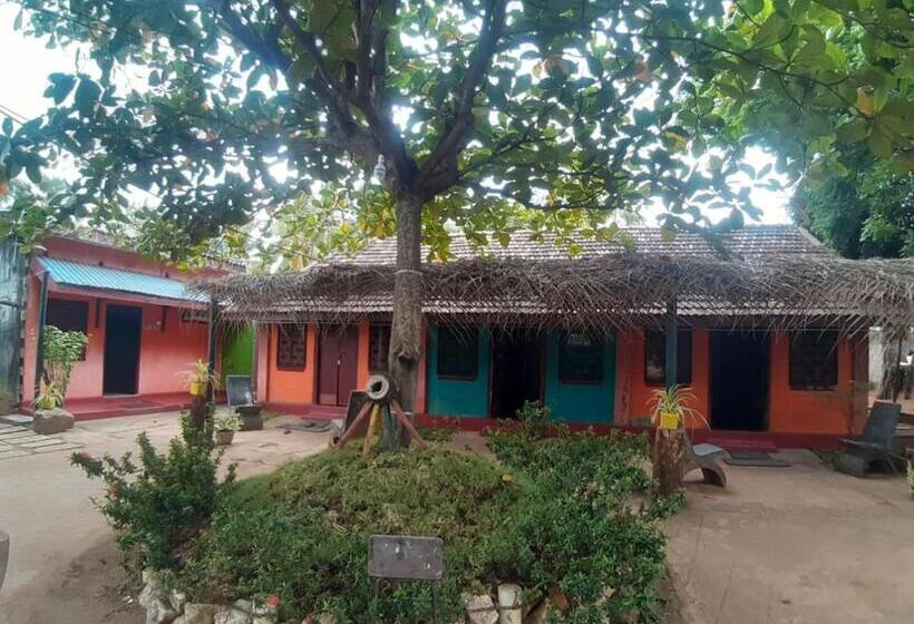 패밀리 룸, Amila Guest