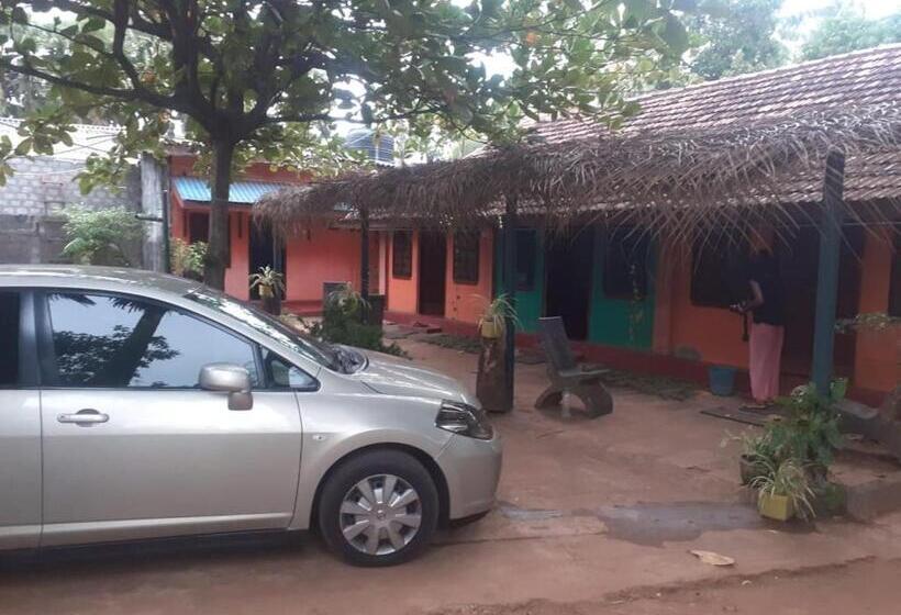 이코노미 룸, Amila Guest