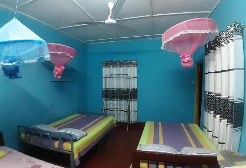 이코노미 룸, Amila Guest