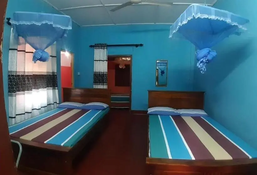 اتاق خانوادگی, Amila Guest