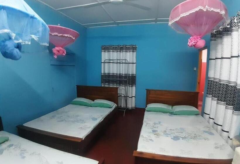 패밀리 룸, Amila Guest