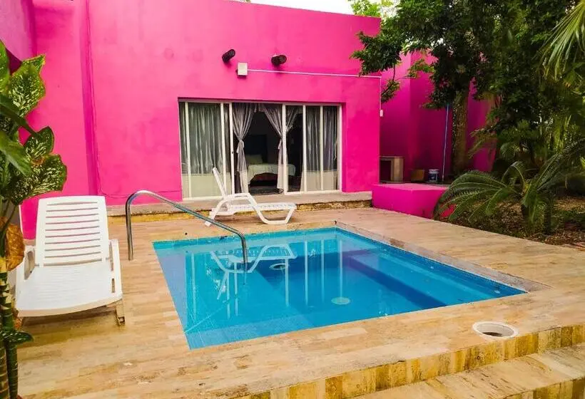 اتاق لوکس با تخت بزرگ, Casa Isabella