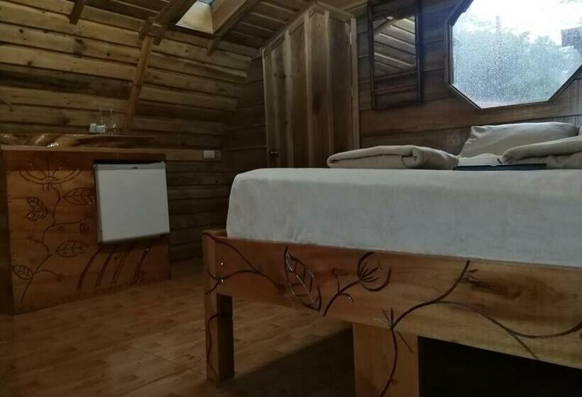 اتاق استاندارد, Nature House