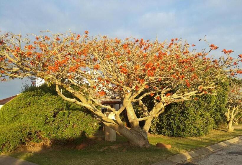 סוויטה נוף לגינה, Palamos On Sea