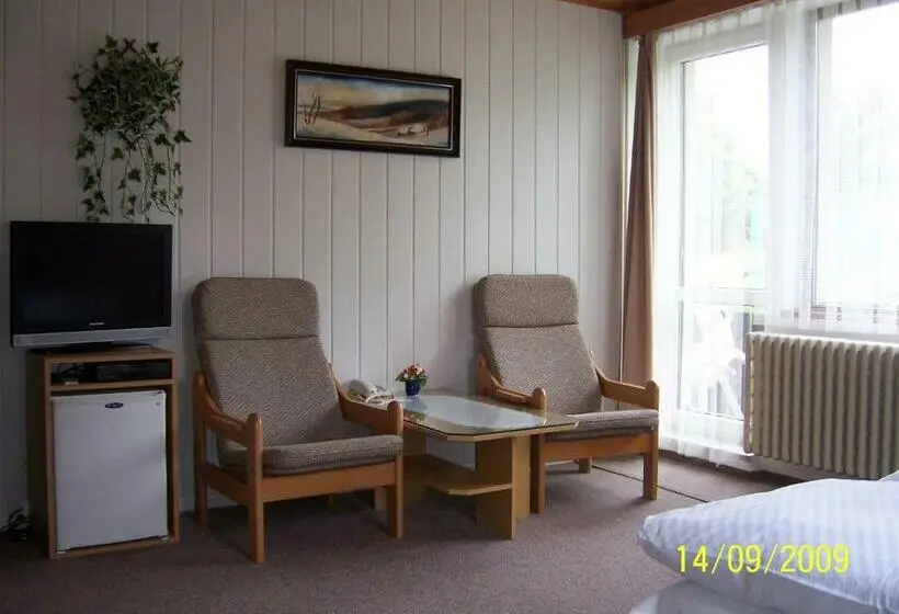 Camera Standard con Balcone, Pension Jesen