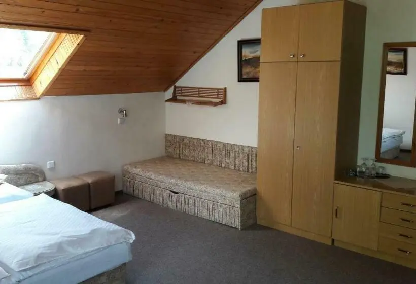 Camera Standard con Balcone, Pension Jesen