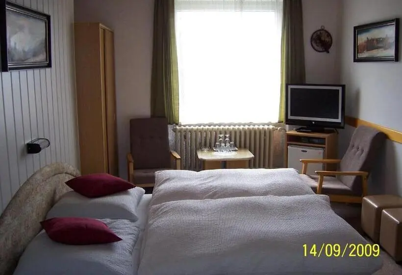 Camera Standard Vista Montagna, Pension Jesen