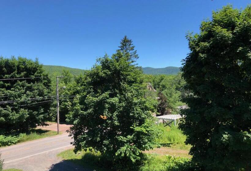 חדר סטנדרט, Antique Rose Inn Windham