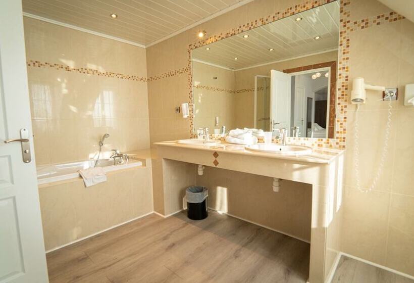 Полулюкс, Best Western Ile De France Hôtel & Spa