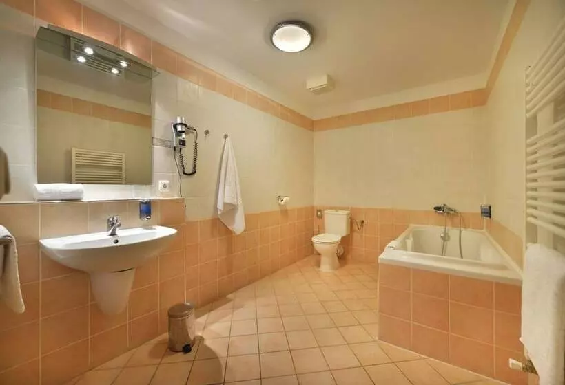 Standard Yhden Hengen Huone, Ea Hotel Tosca