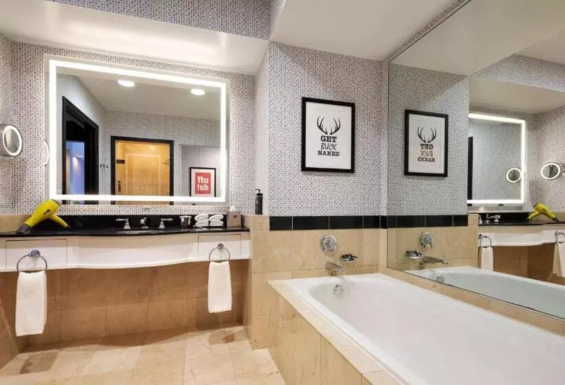 キングサイズベッドのスイートルーム, Hyatt Centric Downtown Minneapolis