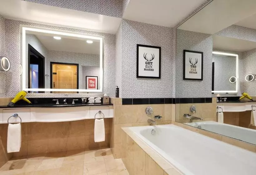 キングサイズベッドのデラックスルーム, Hyatt Centric Downtown Minneapolis